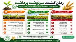 مقایسه کشت زود هنگام به هنگام و دیر هنگام غلات پاییزه