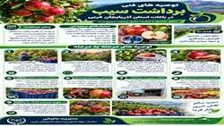 توصیه های فنی برداشت سیب از باغات استان آذربایجان غربی 