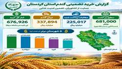 گزارش عملکرد خرید تضمینی گندم در استان کردستان (سال زراعی ۱۴۰۵)