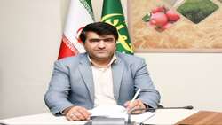 شهرستان هشترود رتبه اول کشت قراردادی را کسب کرد
