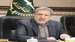 صندوق حمایت از باغستان سنتی و توسعه زیتون در قزوین راه اندازی شود
