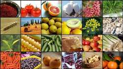 ایجاد ظرفیت فرآوری ۵۸ هزار تن محصولات کشاورزی در خراسان شمالی