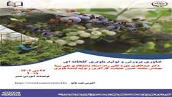 فناوری پرورش و تولید بلوبری گلخانه ای