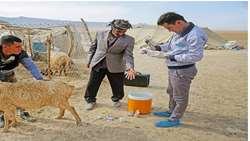 ‏۲۸‏‎ ‎روستای خراسان شمالی از خدمات جهاد دامپزشکی بهره‌مند شدند‎ ‎