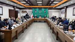 اولین نشست فعالیت های کمیته روستایی عشایری دهه فجر در وزارت جهادکشاورزی برگزار شد
