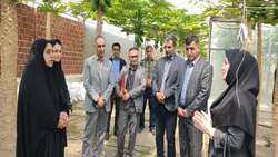 الگوی موفق کشاورزی نوین در بابل/ گلخانه پاپایا میزبان مدیران جهاد کشاورزی شد