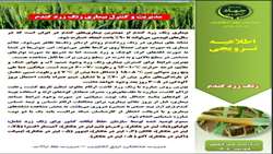 تهیه و توزیع اطلاعیه ترویجی مبارزه با بیماری زنگ گندم