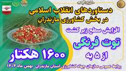  روایت دستاوردهای انقلاب اسلامی در کشاورزی استان مازندران/ تولید توت فرنگی
