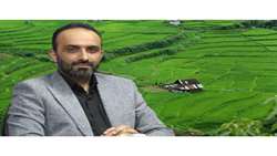 آغاز فصل کشت برنج در مازندران، آب‌تخت‌سازی ۵۰ هزار هکتار شالیزار