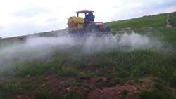 مدیریت موفق عوامل خسارت‌زای گندم در اردبیل