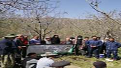 کارگاه عملی پیوند سرشاخه کاری گردو در روستا کش اباد از توابع شهرستان قزوین برگزار شد
