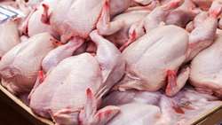 توزیع 4200 تن گوشت مرغ گرم در فروردین ماه سال جاری در آذربایجان غربی / اقلام اساسی ماه مبارک رمضان مردم استان تامین است
