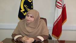 امسال 2 رقم جدید برنج به کشاورزان معرفی می‌شود