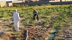 احداث 60 حلقه چاهک کشاورزی در شهرستان زابل