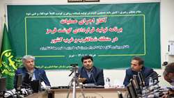 تامین نهاده دامی مرغداران با ارز ترجیحی تا 21 اردیبهشت ماه