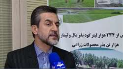 کاهش سن‌زدگی گندم در سال زراعی جاری