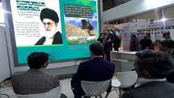 15 محصول کشاورزی در استان قزوین می‌تواند به زنجیره ارزش تبدیل شود