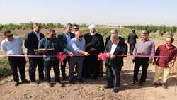 در دومین روز از هفته جهاد کشاورزی؛ افتتاح یک طرح سامانه نوین آبیاری در شهرستان آبیک