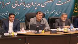 67 درصد از گلخانه‌های کشور به شکل خود اجرایی احداث شده است