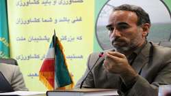فروش بیش از 17 میلیون یورو محصولات کشاورزی قم در بازارهای جهانی| تخم‌مرغ برند قم است