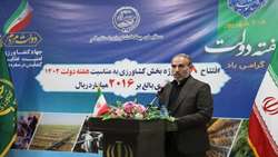 حجم تولیدات کشاورزی قم تا پایان سال به 900 هزار تن می رسد