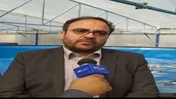 امکان صید فراسرزمینی فراهم شد/ تغییر روش صید برای افزایش کیفیت ضروری است