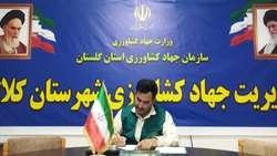 پیش بینی برداشت 4هزار تن کلزا از مزارع کلاله