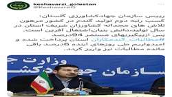 استان گلستان رتبه دوم تولید گندم در کشور