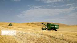 36 درصد مطالبه گندمکاران کردستانی واریز شده است