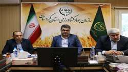 اجرای کشاورزی قراردادی مهمترین مشوق طرح الگوی کشت است