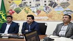 سود 17 هزار و 700 میلیارد ریالی طرح جهش تولید در دیمزارها در جیب کشاورزان آذربایجان شرقی