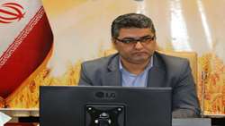 با حفظ منابع پایه نهضت گلخانه ای در کردستان تسریع می شود
