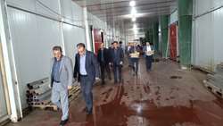 بازدید از سردخانه های اهر برای تامین سیب شب عید / تامین 250 تن سیب برای ایام نوروز در آذربایجان شرقی