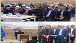 بهره‌برداری از باغ انگور در بسطام