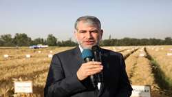 ساداتی‌نژاد تاکید کرد: حمایت از تحقیقات، پژوهش و فناوری اولویت اول وزارت جهاد کشاورزی