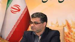 رشد 10 درصدی جوجه‌ریزی در مرغداری‌های استان کردستان
