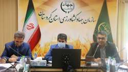 گاوداری یک هزار راسی شرکت برکت چرخ تولید را به حرکت درمی‌آورد