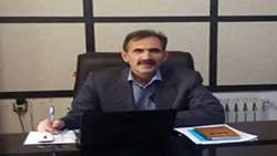 پایداری تولید گندم با انتقال دانش فنی به مزرعه