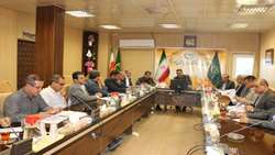 کشت محصولات زراعی پاییزه در کردستان آغاز شد