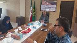 کشت قراردادی در 130 هزار هکتار از زمین‌های کشاورزی استان مرکزی اجرا شد