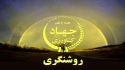 افزایش 16 درصدی عملکرد تولید پسته در واحد سطح
