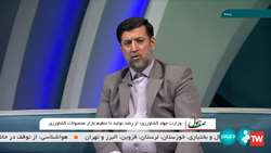 رشد 48 درصدی خرید تضمینی گندم نسبت به مدت مشابه سال گذشته/ مطالبات پنبه‌کاران و زعفران‌کاران پرداخت شد