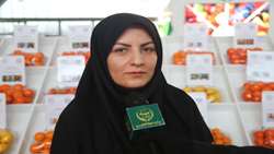 تولید 8.8 میلیون تن میوه‌های گرمسیری در سال جاری