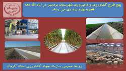 در ایام الله دهه فجر با حضور مسئولین محلی شهرستان بردسیر دو طرح کشاورزی افتتاح شد.
