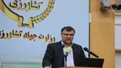 راهبرد کلان تات؛ پاسخگویی به نیازهای اولویت‌دار است