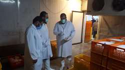 غذای حلال با بحث سلامت و بهداشت عمومی در ارتباط است