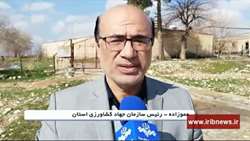 سالانه بیش از 250 تن محصول از آن‌ها برداشت می‌شود.