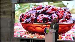 نحوه تسویه تعهدات ارزی صادرکنندگان بخش کشاورزی اصلاح می‌شود