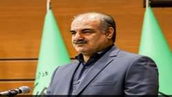پیش‌بینی 500 هزار هکتار زراعت چوب ظرف 6 سال/ نیاز 820 میلیارد تومانی طرح به تسهیلات دولتی