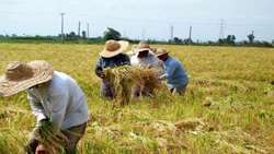 جزئیات مصوبه جدید حمایتی دولت از کشاورزان/ اختصاص 40 هزار میلیارد ریال برای حمایت از کالاهای اساسی